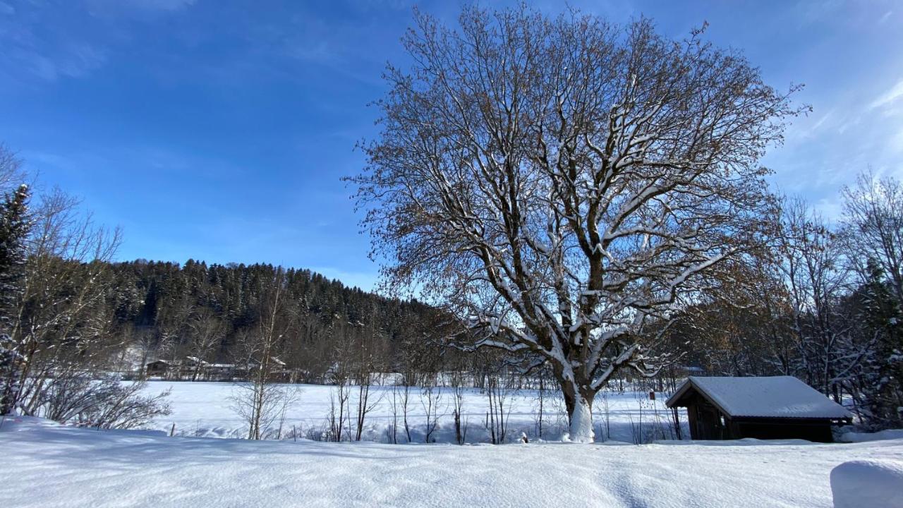 Pure Nature Munich - Alps Fischbachau Esterno foto